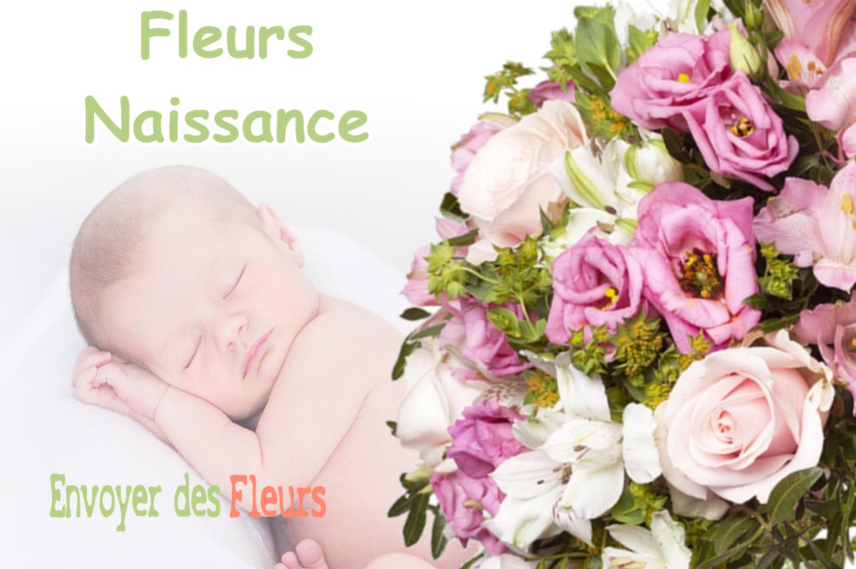 lIVRAISON FLEURS NAISSANCE à CHISSERIA